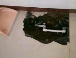 南谯卫生间测漏水多少钱